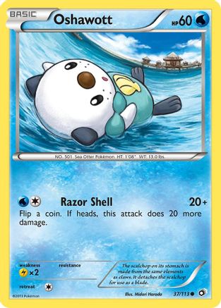 Oshawott 037/113/113 - Common