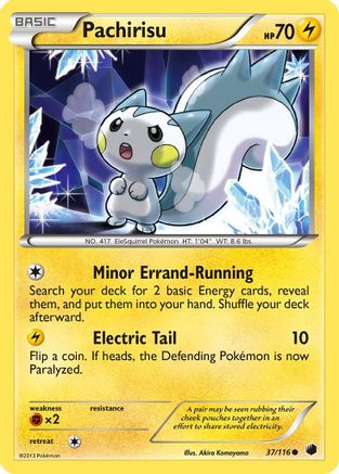 Pachirisu 037/116/116 - Common