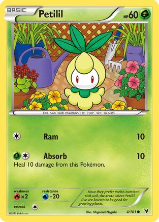 Petilil 004/101 - Common