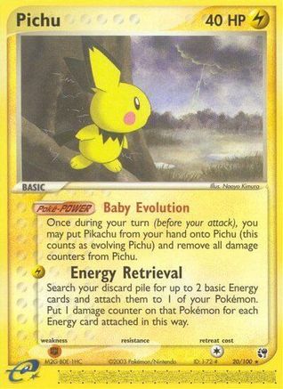 Pichu 020/100/100 - Rare