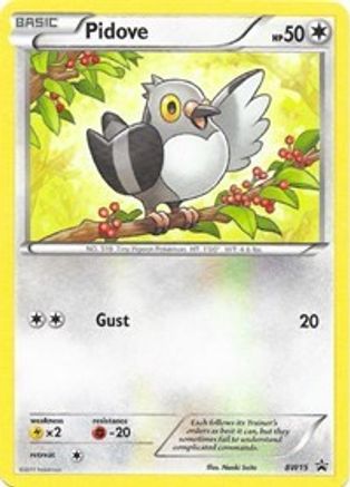 Pidove BW15/101 - Rare