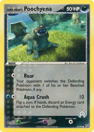 Team Aqua's Poochyena 055/95/95 - Common