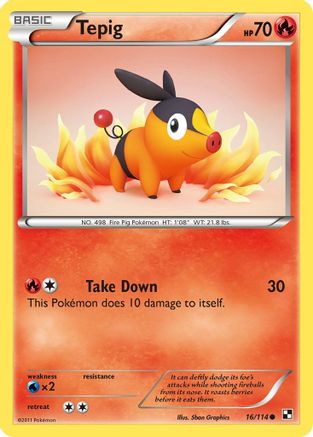 Tepig (16) 016/114 - Common
