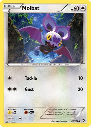 Noibat 087/111 - Common