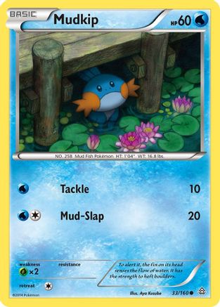 Mudkip 033/160/160 - Common