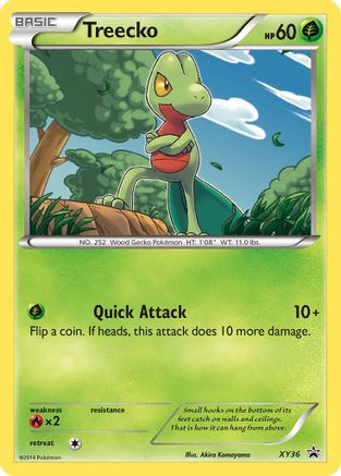 Treecko XY36/211 - Promo - Holofoil