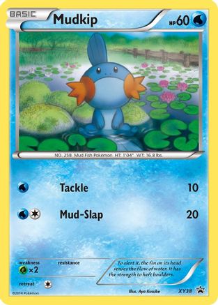 Mudkip XY38/211 - Promo - Holofoil