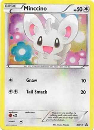 Minccino BW13 - Promo - Holofoil